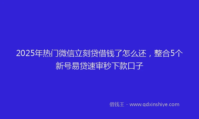 2025年热门微信立刻贷借钱了怎么还，整合5个新号易贷速审秒下款口子