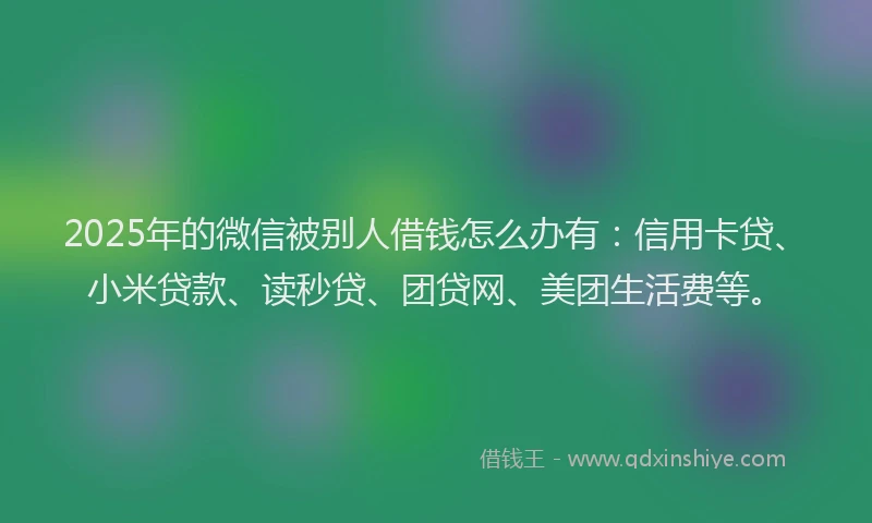 2025年的微信被别人借钱怎么办有：信用卡贷、小米贷款、读秒贷、团贷网、美团生活费等。