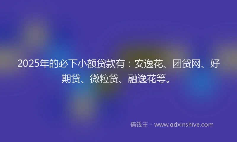 2025年的必下小额贷款有：安逸花、团贷网、好期贷、微粒贷、融逸花等。