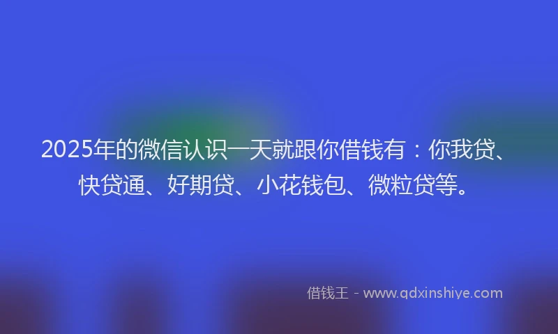 2025年的微信认识一天就跟你借钱有：你我贷、快贷通、好期贷、小花钱包、微粒贷等。