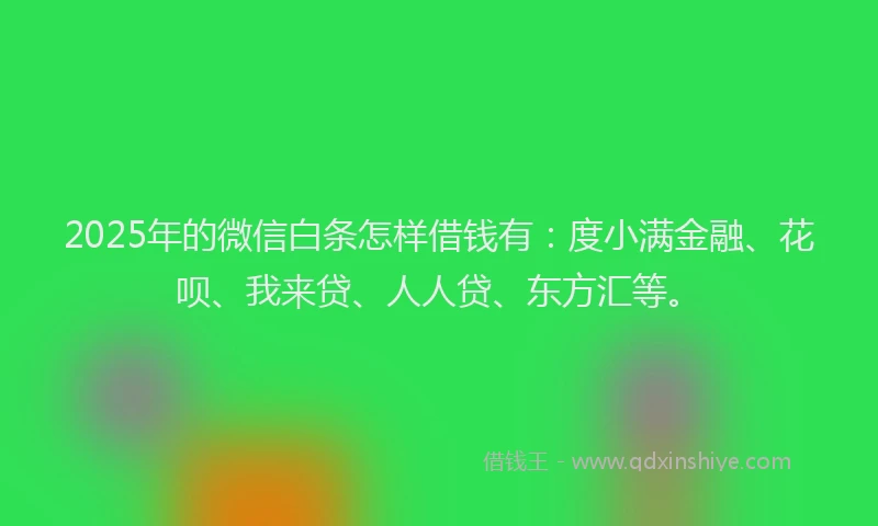 2025年的微信白条怎样借钱有：度小满金融、花呗、我来贷、人人贷、东方汇等。
