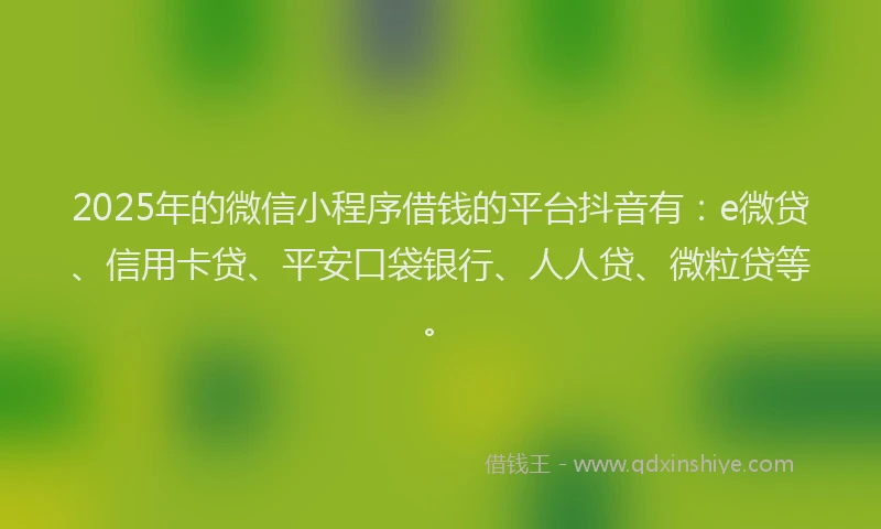 2025年的微信小程序借钱的平台抖音有：e微贷、信用卡贷、平安口袋银行、人人贷、微粒贷等。