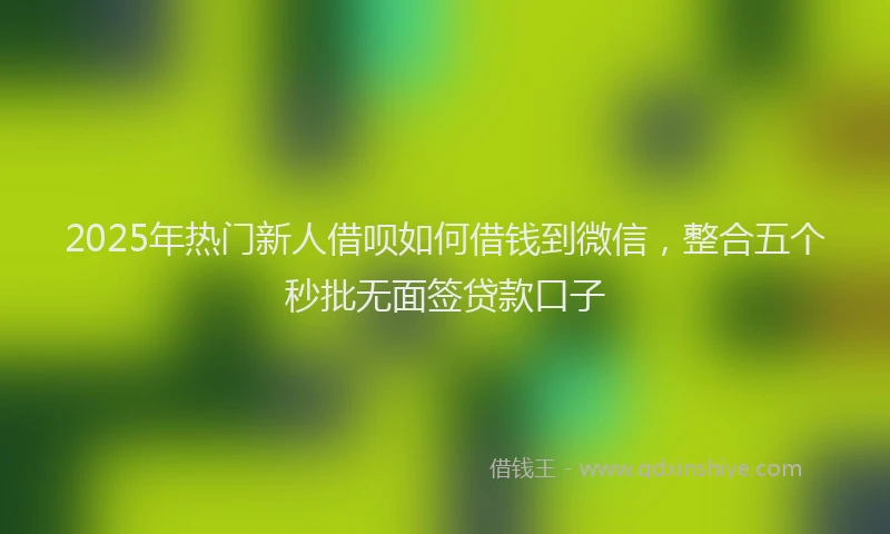 2025年热门新人借呗如何借钱到微信，整合五个秒批无面签贷款口子