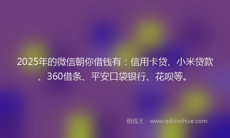 2025年的微信朝你借钱有：信用卡贷、小米贷款、360借条、平安口袋银行、花呗等。