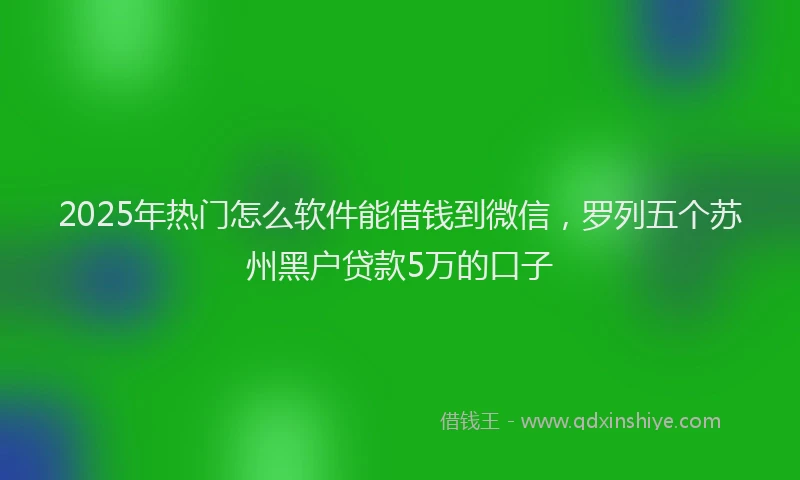 2025年热门怎么软件能借钱到微信，罗列五个苏州黑户贷款5万的口子
