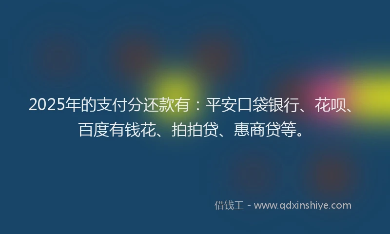 2025年的支付分还款有：平安口袋银行、花呗、百度有钱花、拍拍贷、惠商贷等。