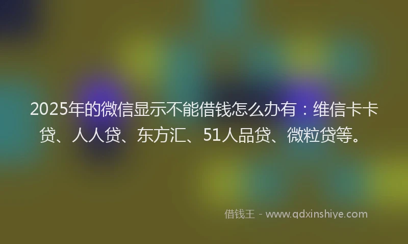 2025年的微信显示不能借钱怎么办有：维信卡卡贷、人人贷、东方汇、51人品贷、微粒贷等。