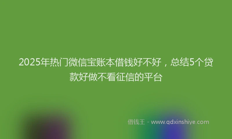 2025年热门微信宝账本借钱好不好，总结5个贷款好做不看征信的平台