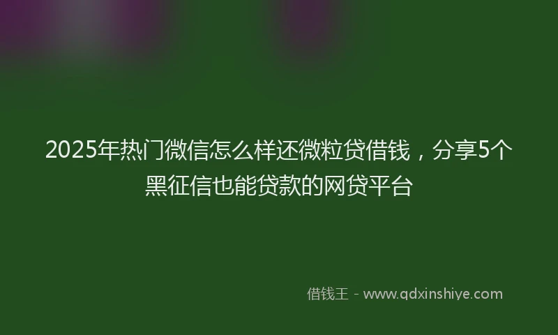 2025年热门微信怎么样还微粒贷借钱，分享5个黑征信也能贷款的网贷平台