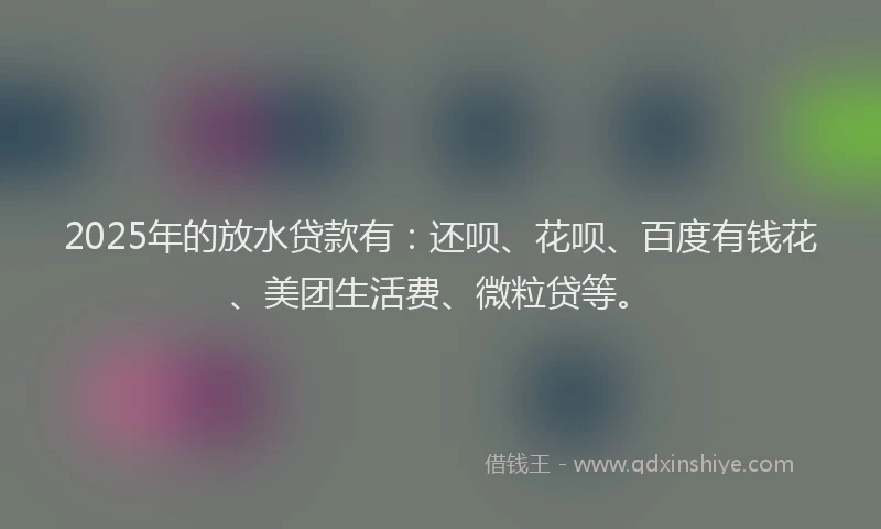 2025年的放水贷款有：还呗、花呗、百度有钱花、美团生活费、微粒贷等。