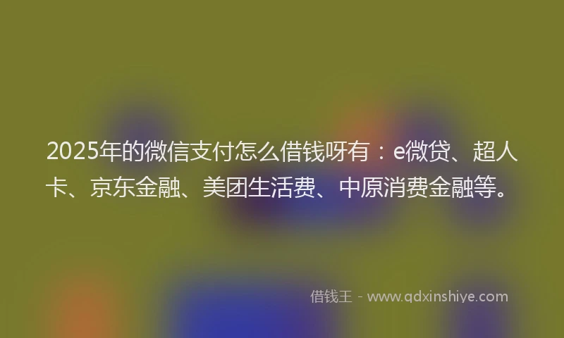 2025年的微信支付怎么借钱呀有：e微贷、超人卡、京东金融、美团生活费、中原消费金融等。