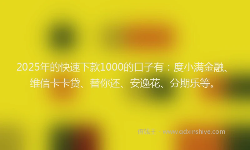 2025年的快速下款1000的口子有：度小满金融、维信卡卡贷、替你还、安逸花、分期乐等。