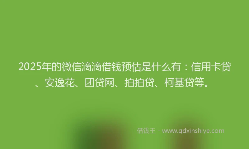 2025年的微信滴滴借钱预估是什么有：信用卡贷、安逸花、团贷网、拍拍贷、柯基贷等。