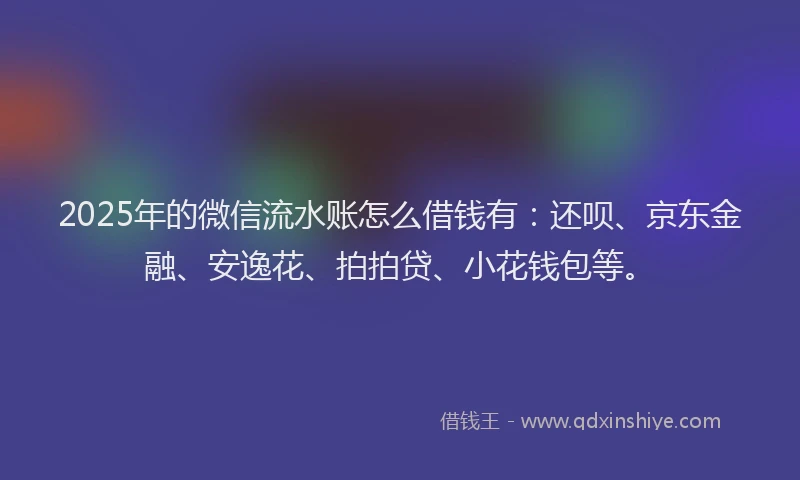 2025年的微信流水账怎么借钱有：还呗、京东金融、安逸花、拍拍贷、小花钱包等。