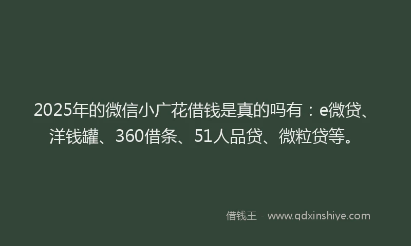 2025年的微信小广花借钱是真的吗有：e微贷、洋钱罐、360借条、51人品贷、微粒贷等。