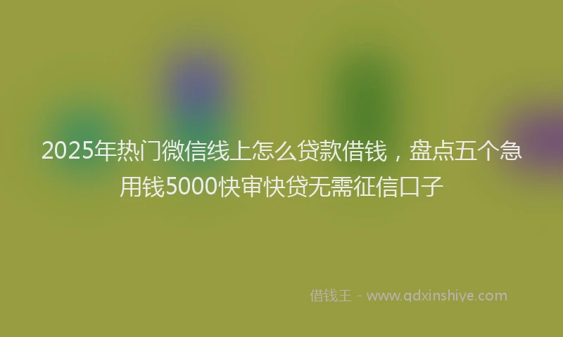 2025年热门微信线上怎么贷款借钱，盘点五个急用钱5000快审快贷无需征信口子