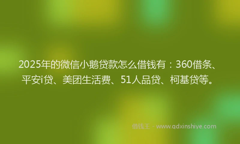 2025年的微信小鹅贷款怎么借钱有：360借条、平安i贷、美团生活费、51人品贷、柯基贷等。