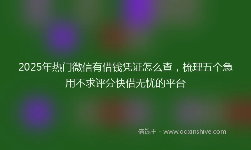 2025年热门微信有借钱凭证怎么查，梳理五个急用不求评分快借无忧的平台