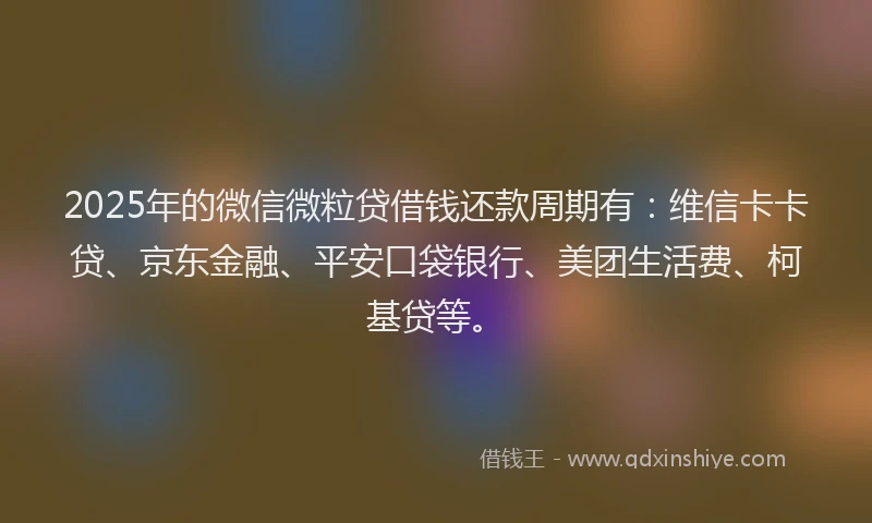 2025年的微信微粒贷借钱还款周期有：维信卡卡贷、京东金融、平安口袋银行、美团生活费、柯基贷等。