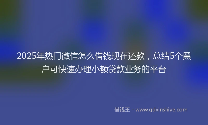 2025年热门微信怎么借钱现在还款，总结5个黑户可快速办理小额贷款业务的平台