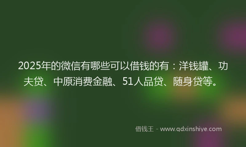 2025年的微信有哪些可以借钱的有：洋钱罐、功夫贷、中原消费金融、51人品贷、随身贷等。