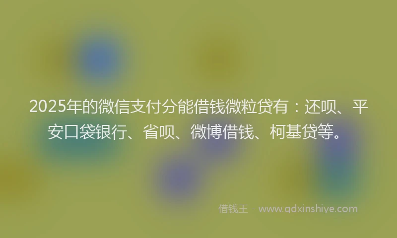 2025年的微信支付分能借钱微粒贷有：还呗、平安口袋银行、省呗、微博借钱、柯基贷等。