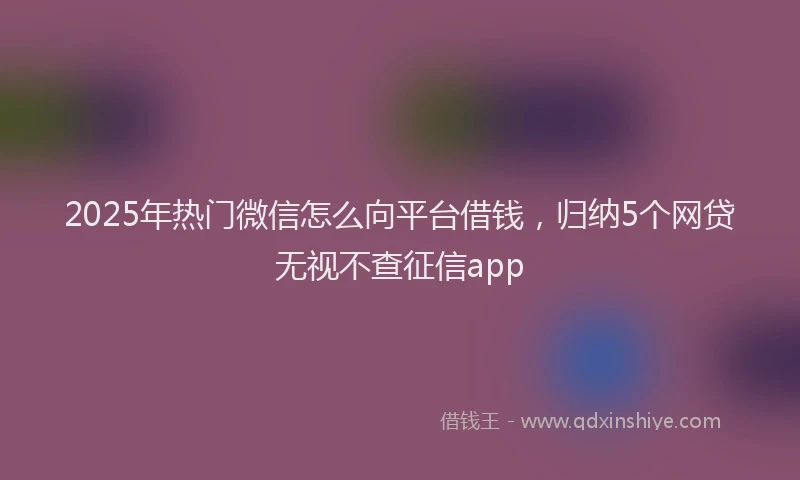 2025年热门微信怎么向平台借钱，归纳5个网贷无视不查征信app