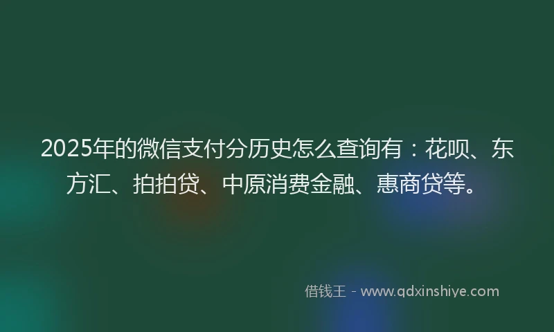 2025年的微信支付分历史怎么查询有：花呗、东方汇、拍拍贷、中原消费金融、惠商贷等。