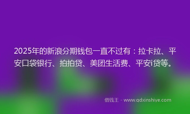 2025年的新浪分期钱包一直不过有：拉卡拉、平安口袋银行、拍拍贷、美团生活费、平安i贷等。