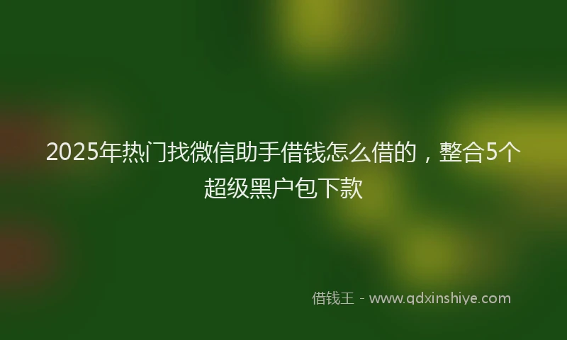 2025年热门找微信助手借钱怎么借的，整合5个超级黑户包下款