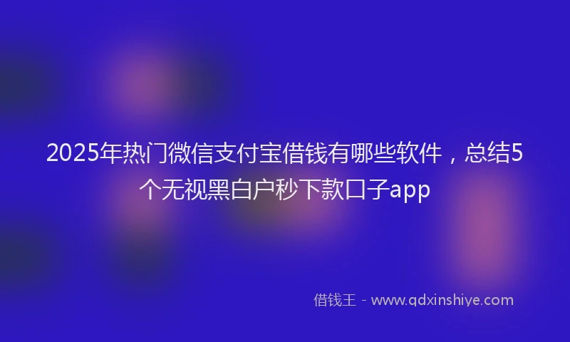 2025年热门微信支付宝借钱有哪些软件，总结5个无视黑白户秒下款口子app