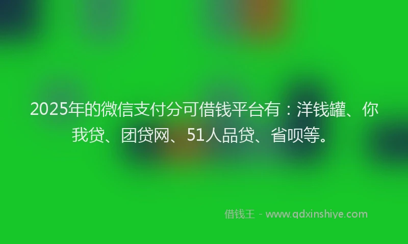 2025年的微信支付分可借钱平台有：洋钱罐、你我贷、团贷网、51人品贷、省呗等。