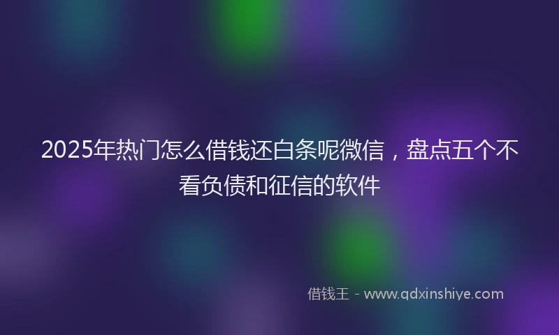 2025年热门怎么借钱还白条呢微信，盘点五个不看负债和征信的软件