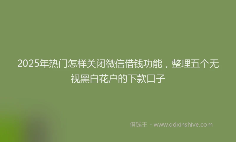 2025年热门怎样关闭微信借钱功能，整理五个无视黑白花户的下款口子