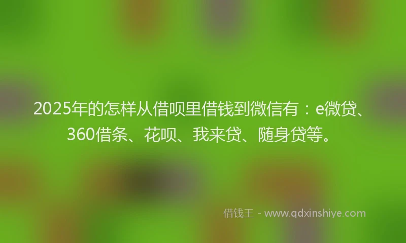 2025年的怎样从借呗里借钱到微信有：e微贷、360借条、花呗、我来贷、随身贷等。