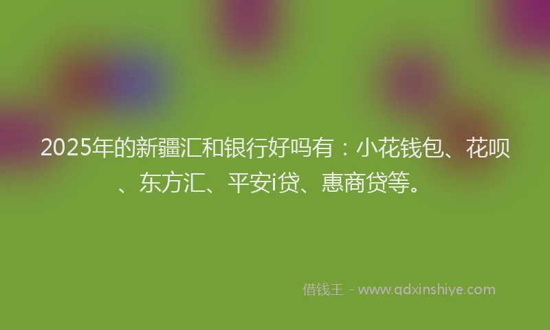 2025年的新疆汇和银行好吗有：小花钱包、花呗、东方汇、平安i贷、惠商贷等。