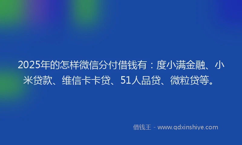 2025年的怎样微信分付借钱有：度小满金融、小米贷款、维信卡卡贷、51人品贷、微粒贷等。