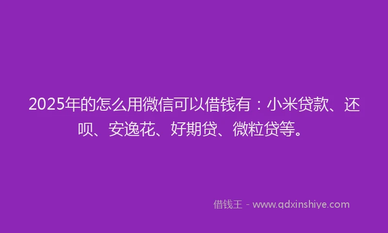 2025年的怎么用微信可以借钱有：小米贷款、还呗、安逸花、好期贷、微粒贷等。