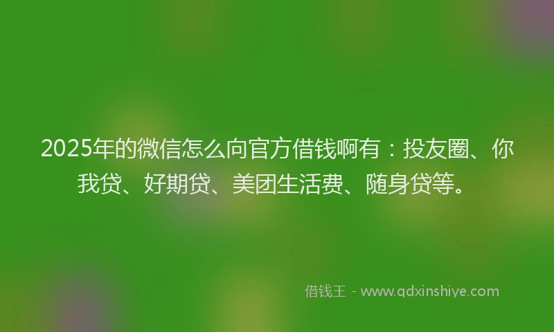 2025年的微信怎么向官方借钱啊有：投友圈、你我贷、好期贷、美团生活费、随身贷等。