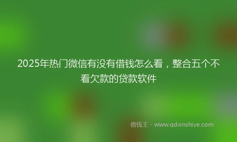 2025年热门微信有没有借钱怎么看，整合五个不看欠款的贷款软件