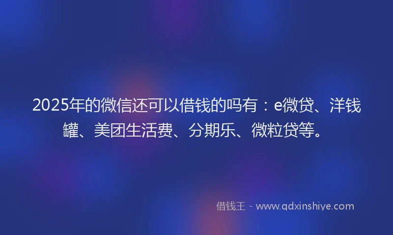2025年的微信还可以借钱的吗有：e微贷、洋钱罐、美团生活费、分期乐、微粒贷等。