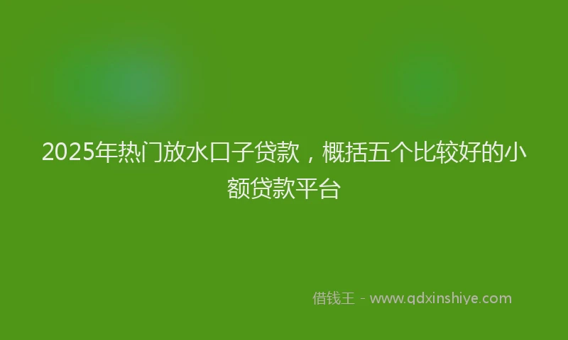 2025年热门放水口子贷款，概括五个比较好的小额贷款平台