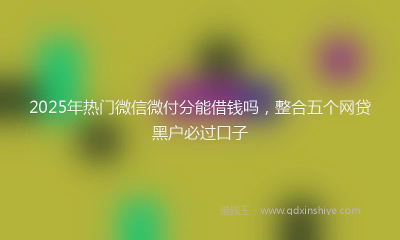 2025年热门微信微付分能借钱吗，整合五个网贷黑户必过口子