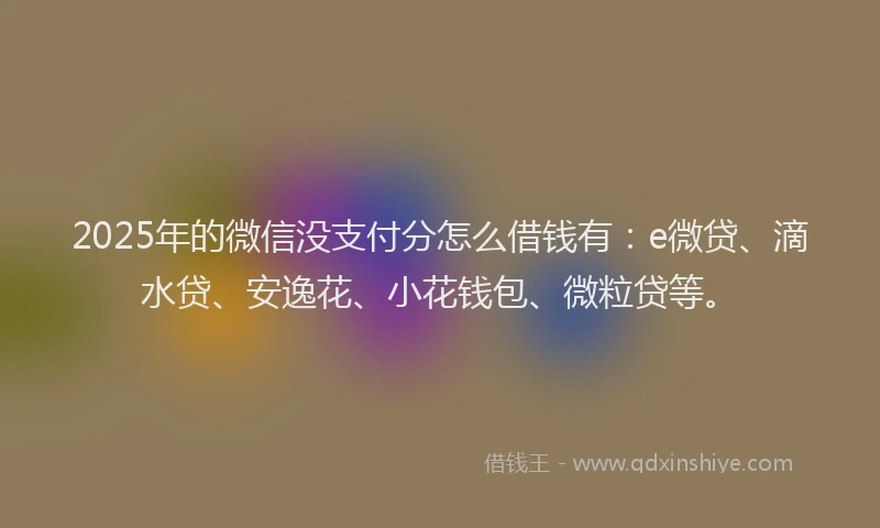 2025年的微信没支付分怎么借钱有：e微贷、滴水贷、安逸花、小花钱包、微粒贷等。