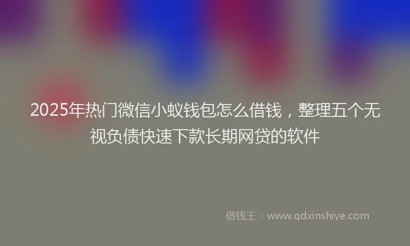 2025年热门微信小蚁钱包怎么借钱，整理五个无视负债快速下款长期网贷的软件