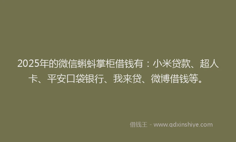2025年的微信蝌蚪掌柜借钱有：小米贷款、超人卡、平安口袋银行、我来贷、微博借钱等。