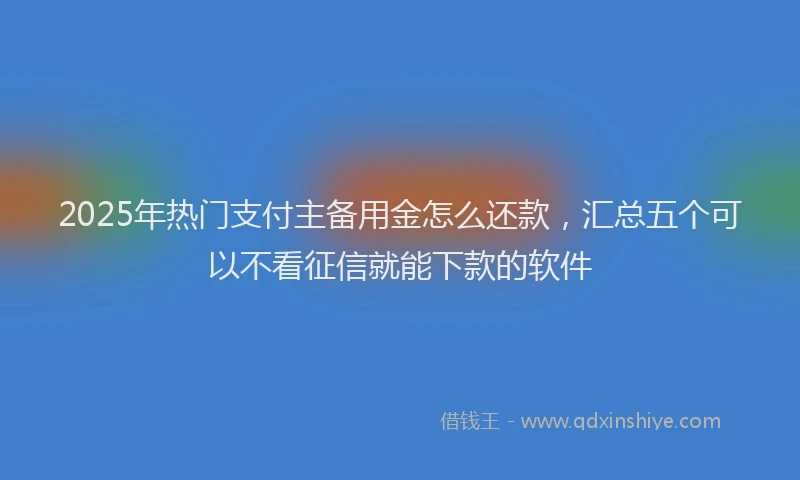 2025年热门支付主备用金怎么还款，汇总五个可以不看征信就能下款的软件