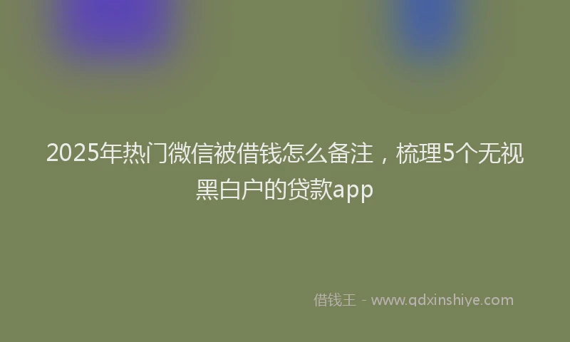 2025年热门微信被借钱怎么备注，梳理5个无视黑白户的贷款app