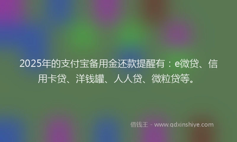 2025年的支付宝备用金还款提醒有：e微贷、信用卡贷、洋钱罐、人人贷、微粒贷等。