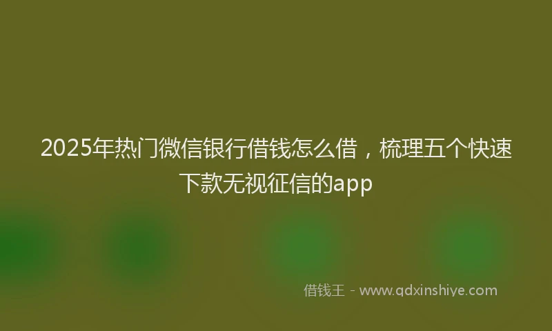 2025年热门微信银行借钱怎么借，梳理五个快速下款无视征信的app